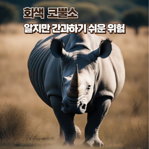 알지만 간과하기 쉬운 회색 코뿔소 위험 이미지