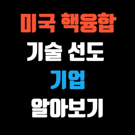 미국 핵융합 기술 선도 기업 5 알아보기 특성 이미지