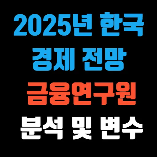 2025년 한국 경제 전망 한국금융연구원의 분석과 정치적 변수 특성 이미지