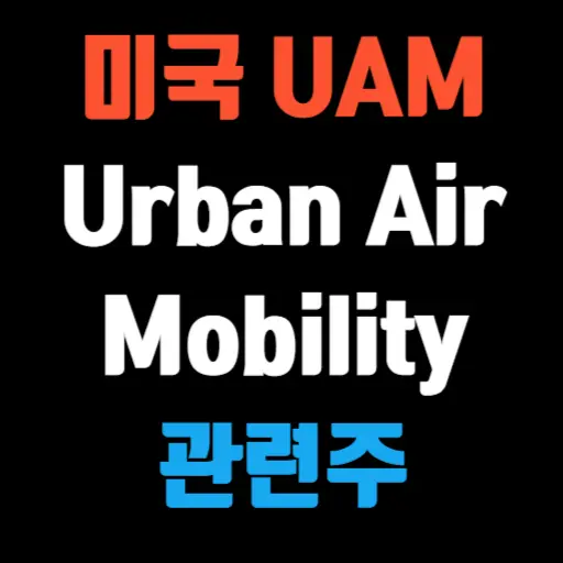 미국 UAM(Urban Air Mobility) 관련주 미래 도심 항공을 선도할 기업들 특성 이미지