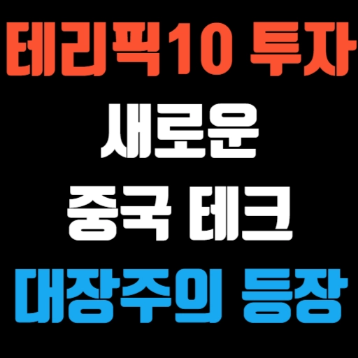 테리픽10 투자, 새로운 중국 테크 대장주의 등장 특성 이미지