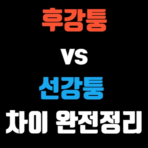 후강퉁 vs 선강퉁 차이 완전정리 특성 이미지